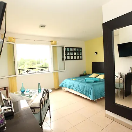 D'hotes - Carpe Diem Tolosa 3* Vieille-Toulouse