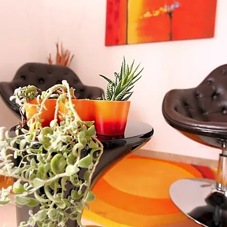 Bed & Breakfast D'hotes - Carpe Diem Tolosa Vieille-Toulouse