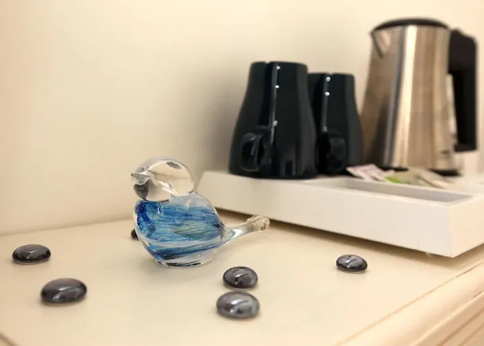 D'hotes - Carpe Diem Tolosa Oda ve Kahvaltı 3*